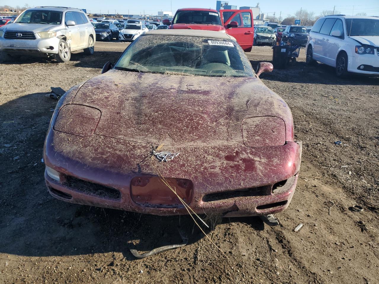 Lot #3029386679 2003 CHEVROLET CORVETTE