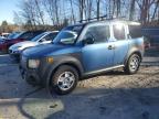 HONDA ELEMENT LX photo