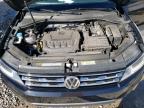 Lot #3023441270 2021 VOLKSWAGEN TIGUAN S