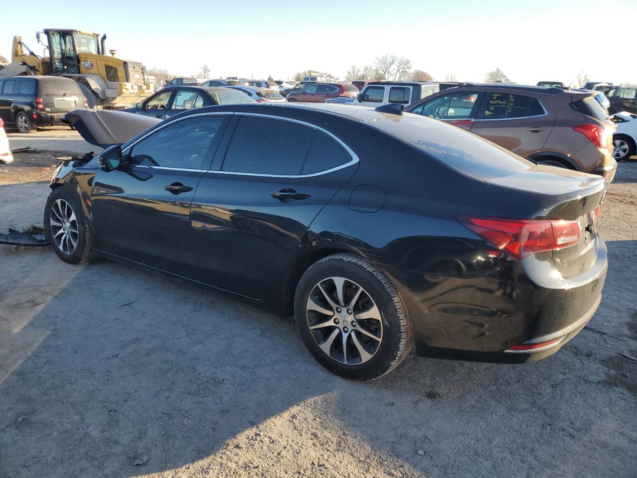 Lot #3023390239 2015 ACURA TLX