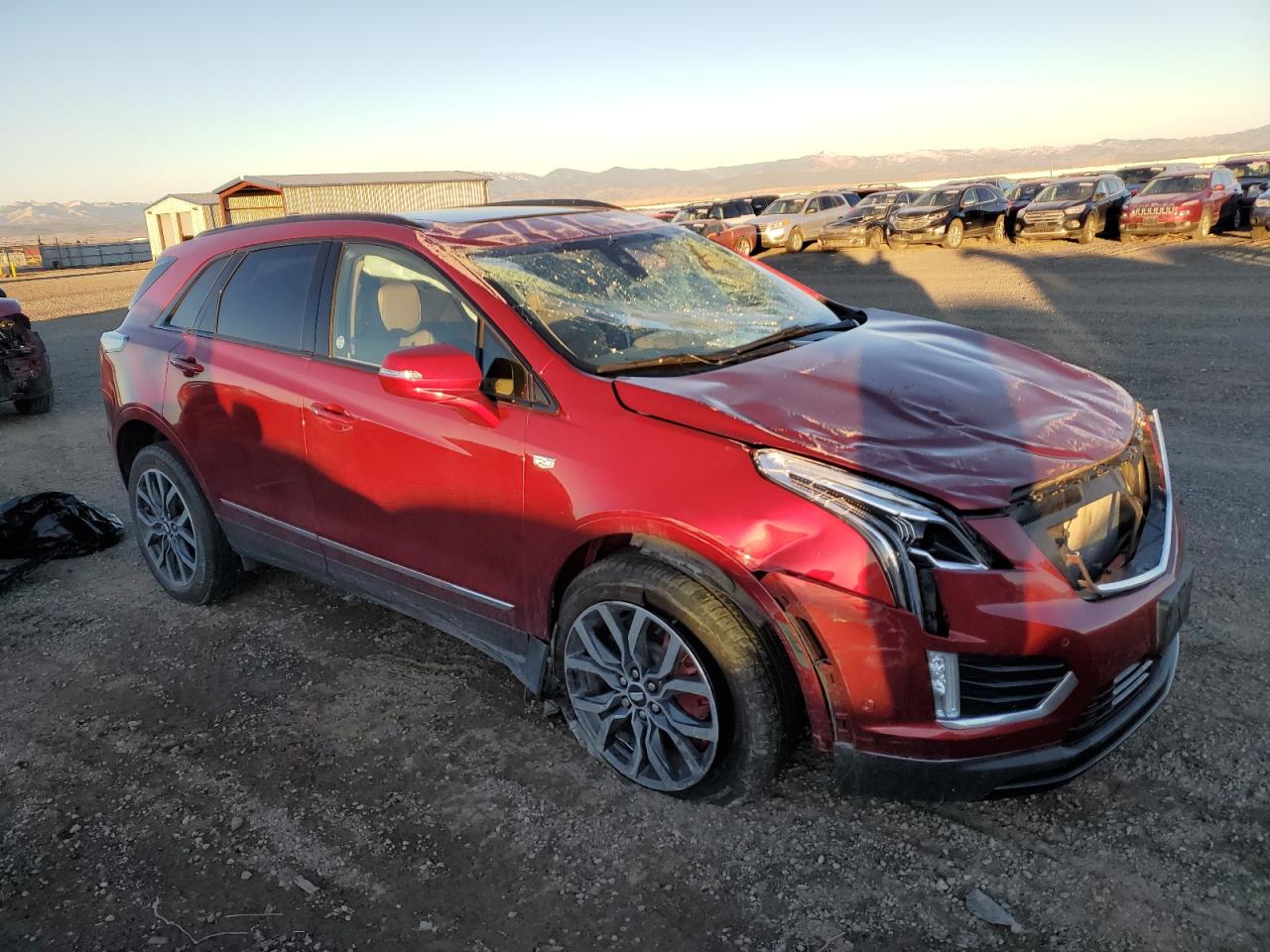 Lot #2969565658 2023 CADILLAC XT5 SPORT