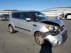 KIA SOUL + photo