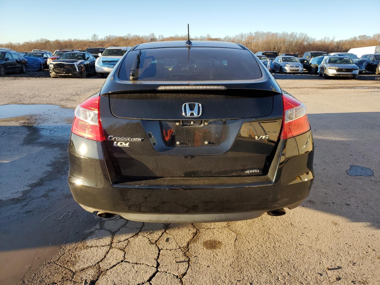 Lot #3029663109 2012 HONDA CROSSTOUR