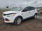 Lot #3024743268 2014 FORD ESCAPE S