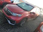 HONDA CR-V EX photo