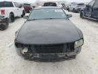 Lot #2965522202 2005 FORD MUSTANG