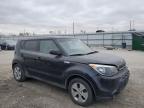 Lot #3020288465 2016 KIA SOUL