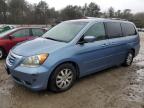 HONDA ODYSSEY EX photo