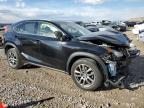 Lot #3024973154 2016 LEXUS NX 200T BA