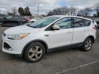 Lot #3024031210 2014 FORD ESCAPE SE