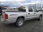 DODGE DAKOTA SXT photo