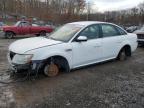 Lot #2996096878 2009 FORD TAURUS SE