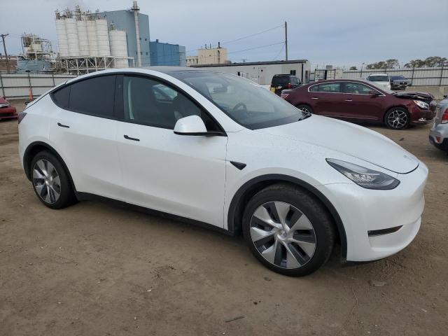 2023 TESLA MODEL Y - 7SAYGDEE8PA151254