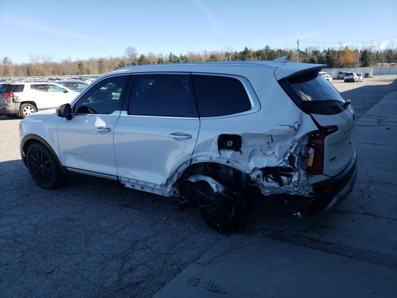 Lot #3009029326 2020 KIA TELLURIDE