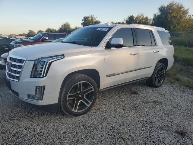 2020 CADILLAC ESCALADE P #2986499266