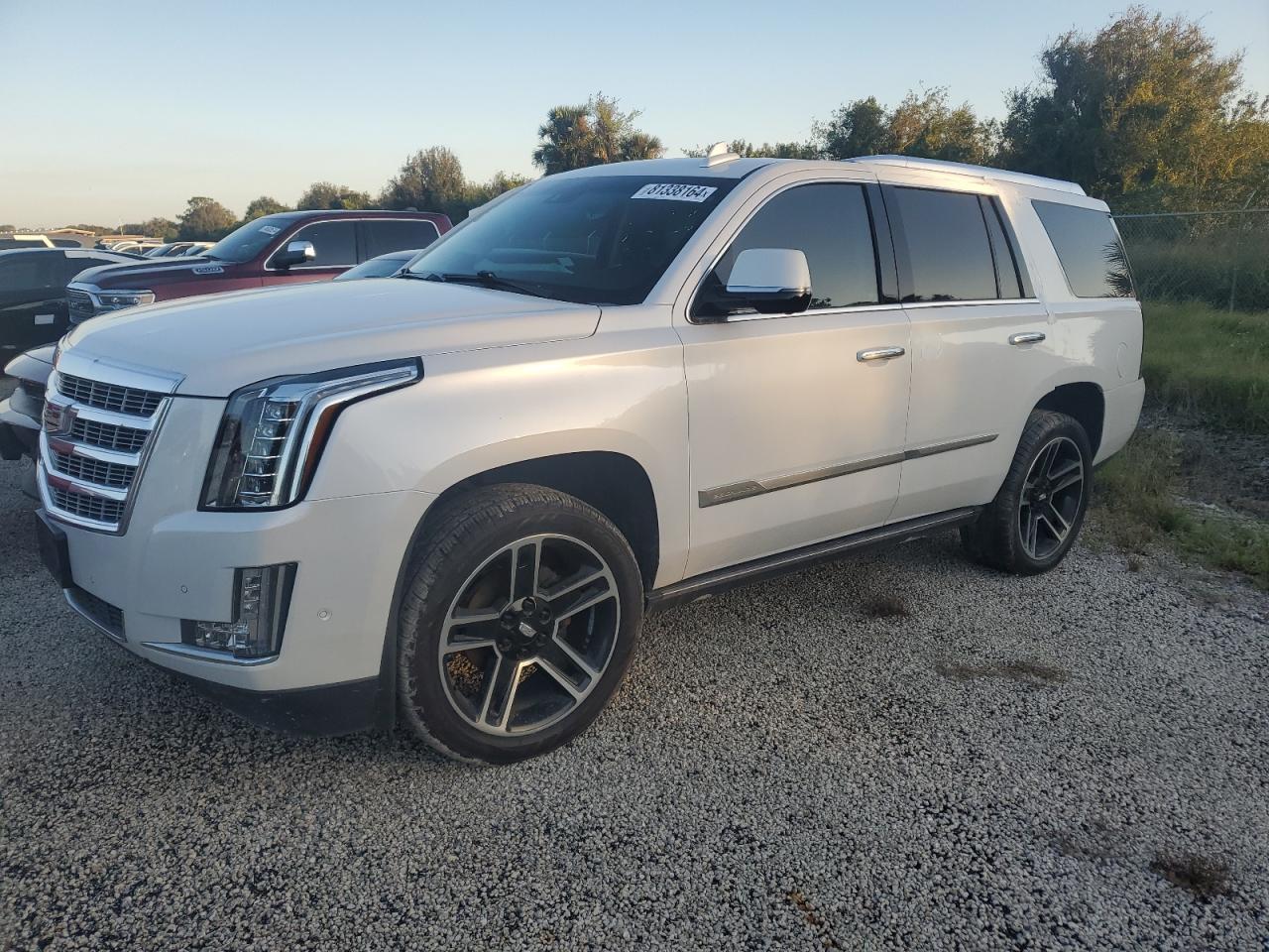 Lot #2986499266 2020 CADILLAC ESCALADE P