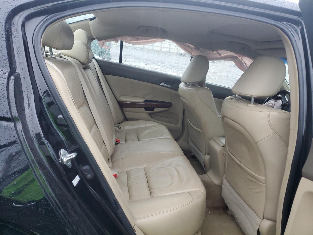 Lot #3024924354 2008 HONDA ACCORD EXL