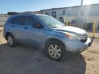 HONDA CR-V SE photo