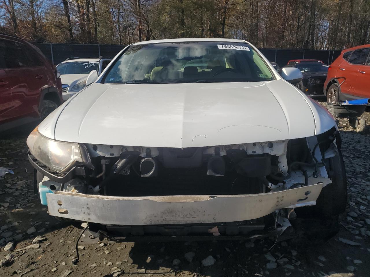 Lot #2978740930 2012 ACURA TSX