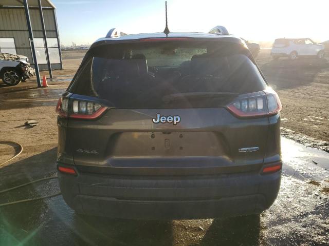 2019 JEEP CHEROKEE L - 1C4PJMLB6KD423211