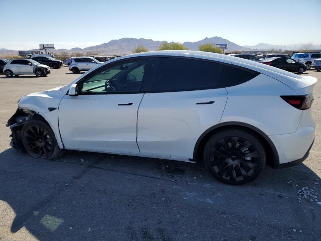 2021 TESLA MODEL Y - 5YJYGDEE5MF233499