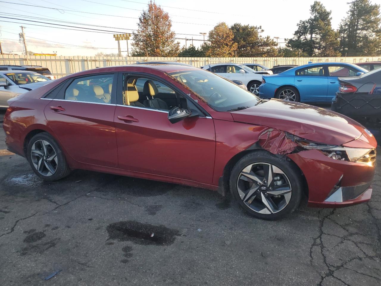 Lot #3028389801 2023 HYUNDAI ELANTRA LI