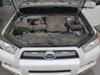 Lot #3084890695 2012 TOYOTA 4RUNNER SR
