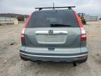 Lot #3030468475 2010 HONDA CR-V EXL