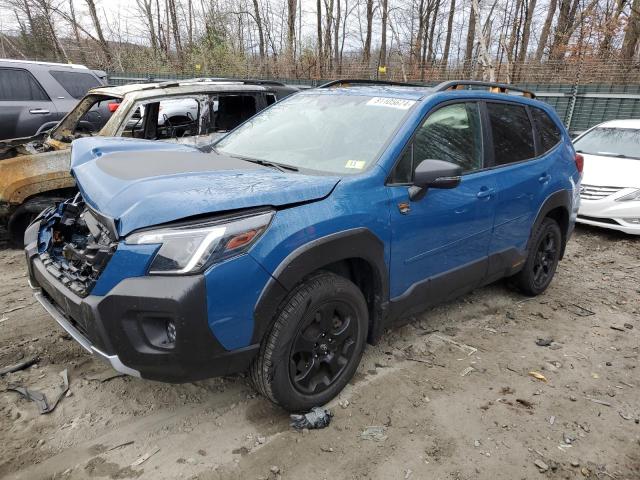 SUBARU FORESTER WILDERNESS