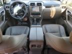 LEXUS GX 460 photo