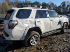 Lot #3024591577 2022 TOYOTA 4RUNNER SR