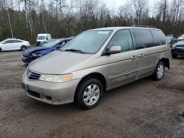 HONDA ODYSSEY EX