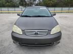 Lot #3024648657 2003 TOYOTA COROLLA CE