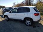 Lot #2962032519 2013 VOLKSWAGEN TIGUAN S