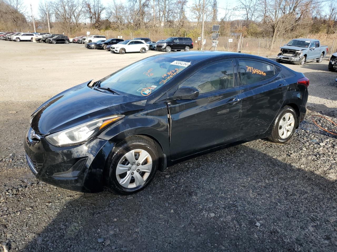 Lot #2991391843 2016 HYUNDAI ELANTRA SE