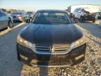 Lot #3024327198 2013 HONDA ACCORD EX