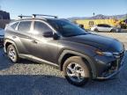 Lot #3027169364 2023 HYUNDAI TUCSON SEL