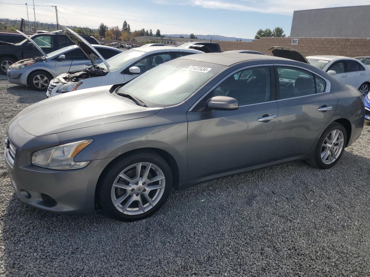 Lot #2991973334 2014 NISSAN MAXIMA S