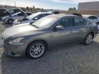 NISSAN MAXIMA S photo