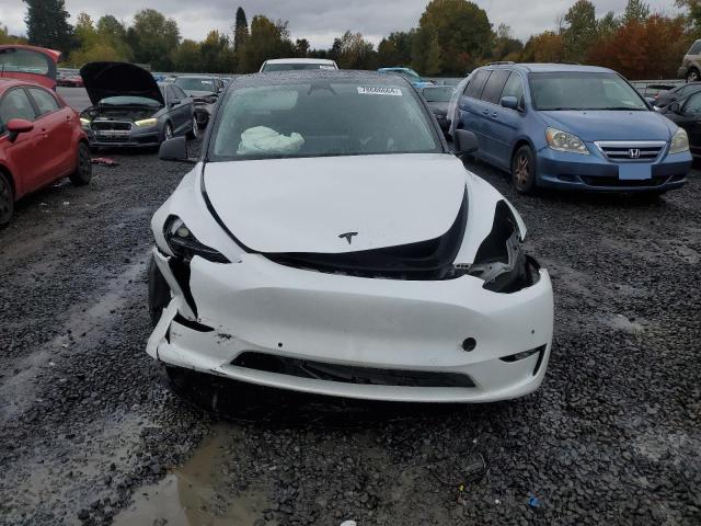 2022 TESLA MODEL Y - 7SAYGDEF6NF493472