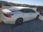 Lot #3024823373 2017 NISSAN MAXIMA 3.5