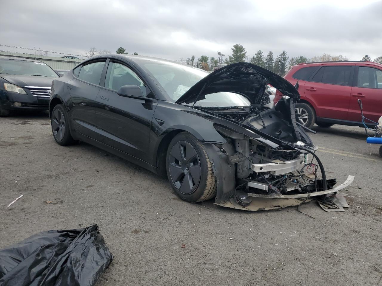 Lot #2978540226 2023 TESLA MODEL 3