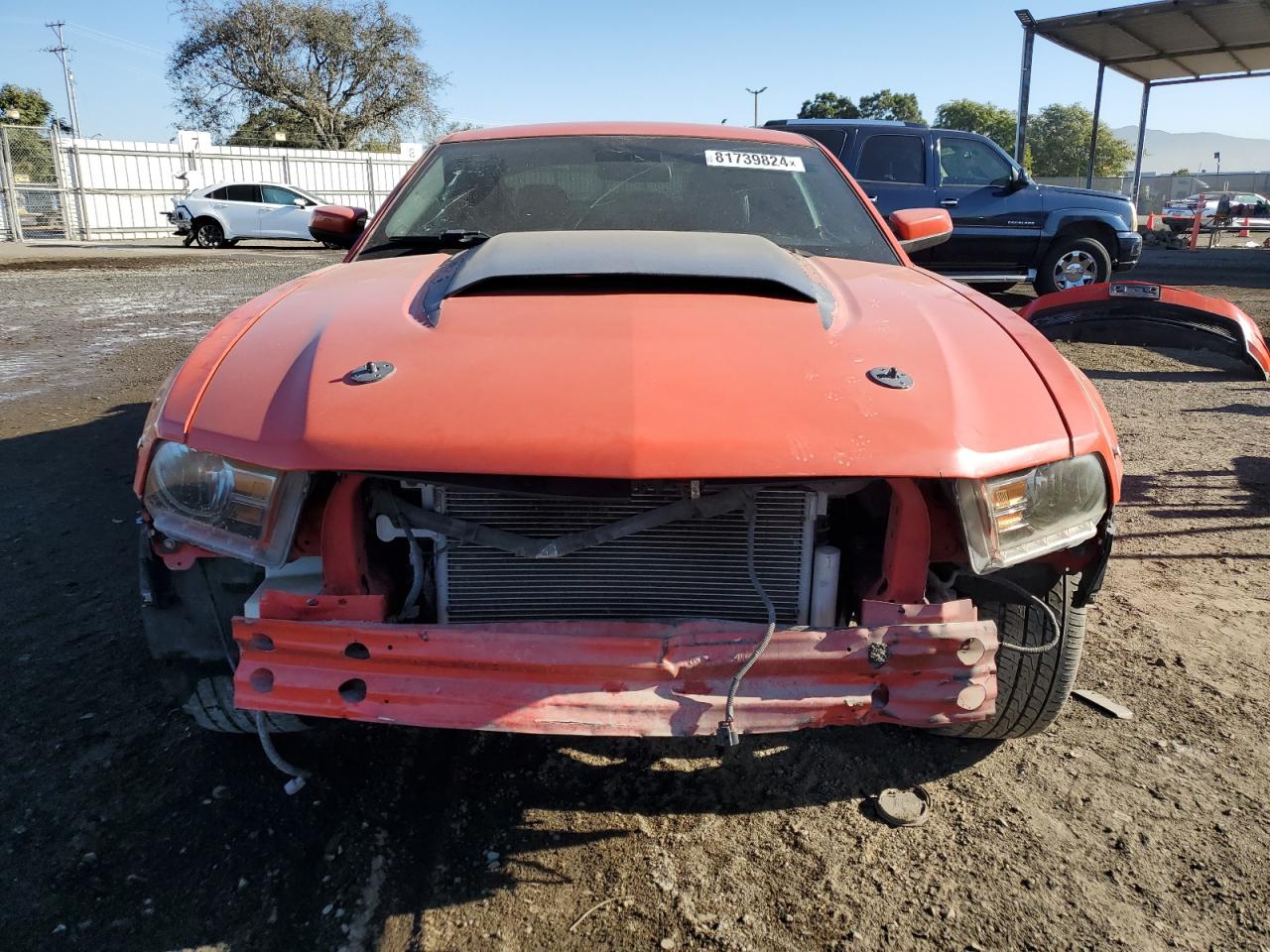 Lot #2994332088 2010 FORD MUSTANG GT