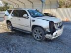 Lot #3023093979 2009 CADILLAC ESCALADE L