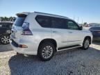 Lot #3024328034 2014 LEXUS GX 460