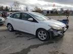 Lot #3025040178 2014 FORD FOCUS SE