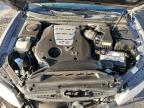 Lot #3024041212 2007 HYUNDAI AZERA GLS