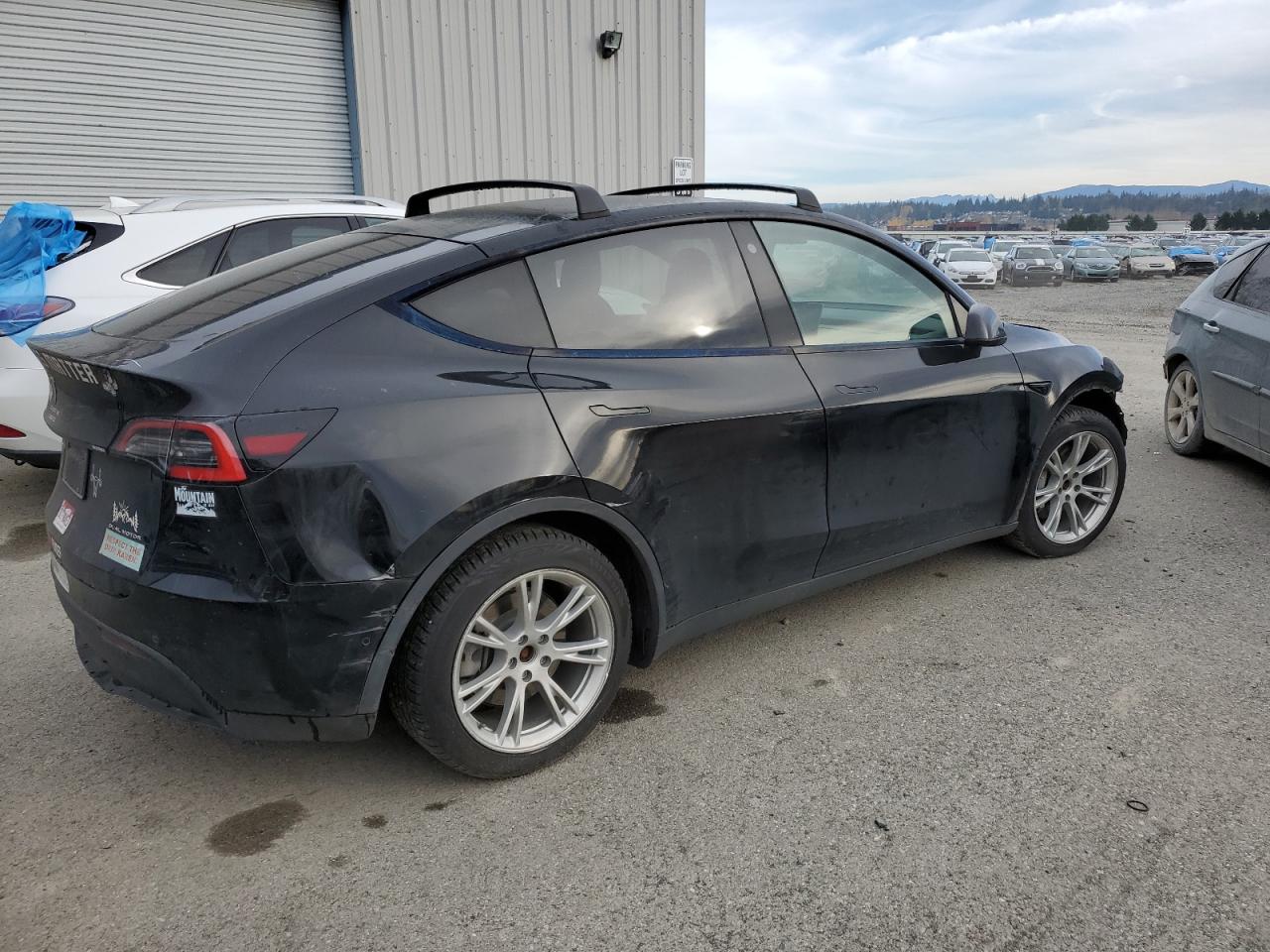 Lot #2989373671 2021 TESLA MODEL Y