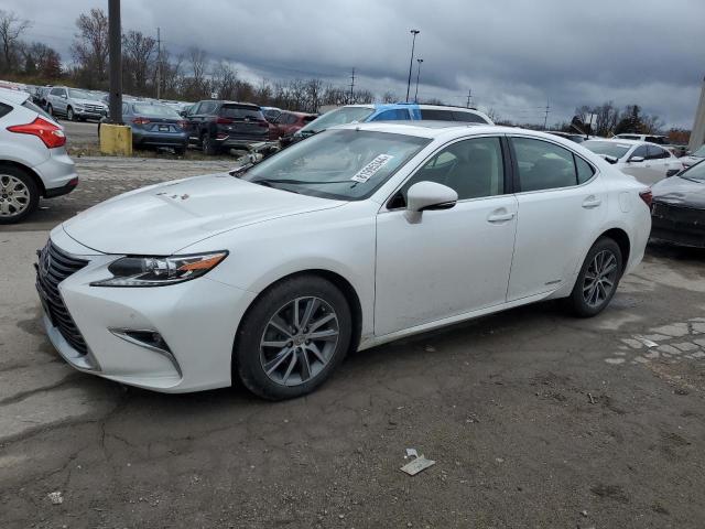 Vin: jthbw1gg1g2113792, lot: 81995344, lexus es300 300h 2016 img_1