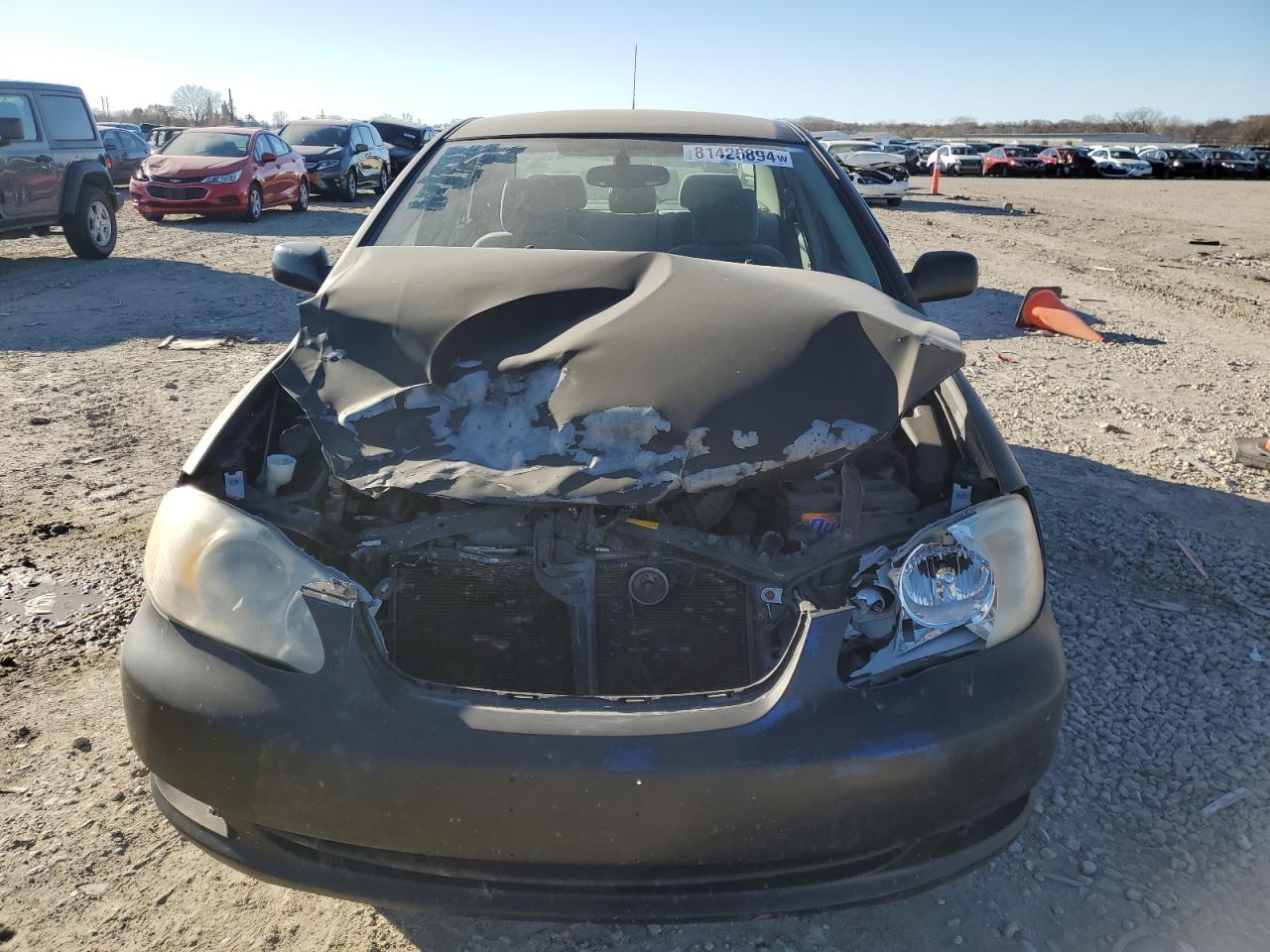 Lot #2994255879 2008 TOYOTA COROLLA CE